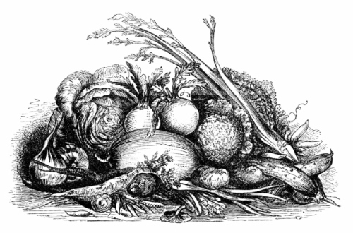 Иллюстрация к книге — Физиология вкуса [i_083.jpg]