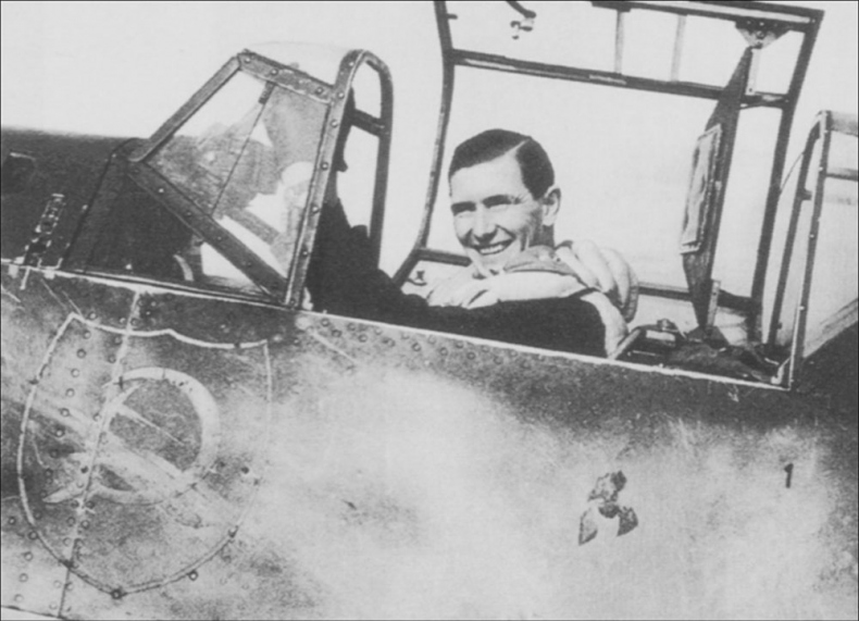 Иллюстрация к книге — Асы немецкой авиации [i_042.jpg]