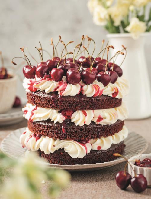 Иллюстрация к книге — Праздник каждый день. Когда в дом приходит счастье [i_073.jpg]