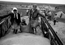 Иллюстрация к книге — Повседневная жизнь советского крестьянства периода позднего сталинизма.1945–1953 гг. [i_004.jpg]