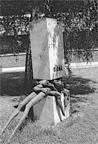 Иллюстрация к книге — Гитлер и Габсбурги. Месть фюрера правящему дому Австрии [i_020.jpg]