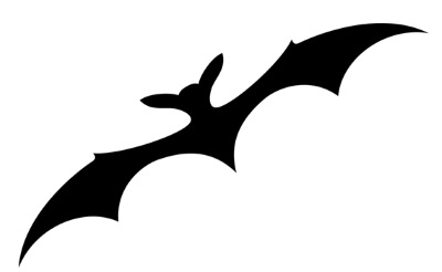 Иллюстрация к книге — Жуть вампирская [i_012.jpg]