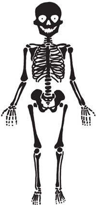 Иллюстрация к книге — Пикник в Чумном форту [i_002.jpg]