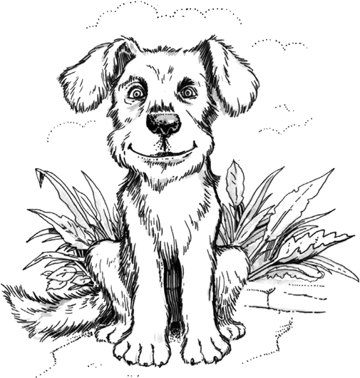 Иллюстрация к книге — Психология на пальцах [i_021.jpg]