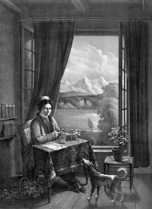 Иллюстрация к книге — Цивилизация [i_038.jpg]