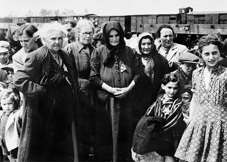 Иллюстрация к книге — Жизнь и смерть в аушвицком аду [i_052.jpg]