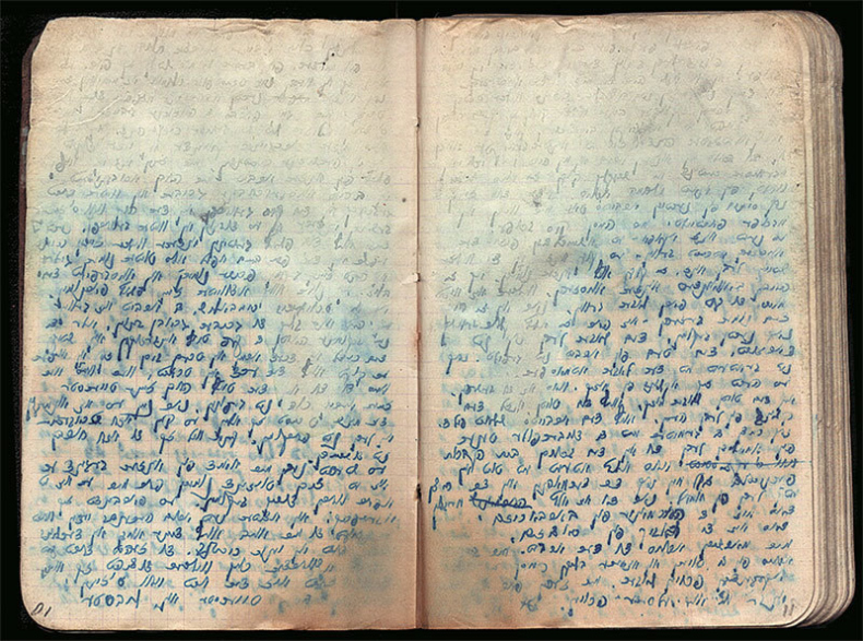 Иллюстрация к книге — Жизнь и смерть в аушвицком аду [i_073.jpg]