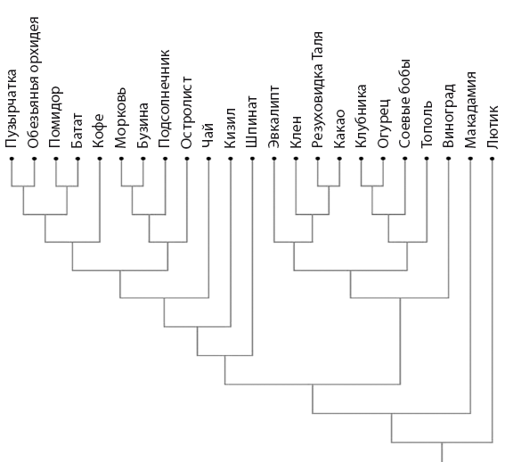 Иллюстрация к книге — Удивительная эволюция. Биологическая история Земли в невероятных превращениях и мутациях организмов [i_005.jpg]