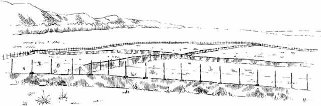 Иллюстрация к книге — Удивительная эволюция. Биологическая история Земли в невероятных превращениях и мутациях организмов [i_036.jpg]