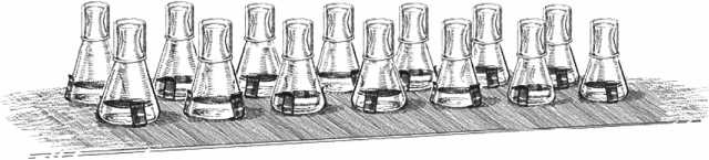 Иллюстрация к книге — Удивительная эволюция. Биологическая история Земли в невероятных превращениях и мутациях организмов [i_038.jpg]