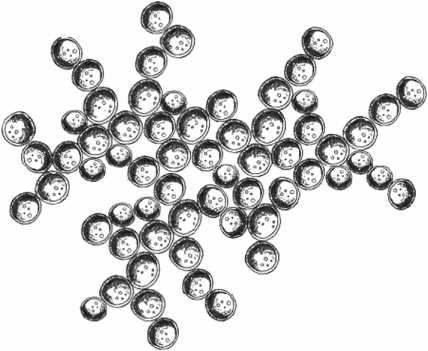 Иллюстрация к книге — Удивительная эволюция. Биологическая история Земли в невероятных превращениях и мутациях организмов [i_040.jpg]