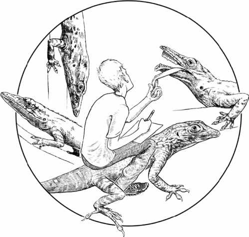 Иллюстрация к книге — Удивительная эволюция. Биологическая история Земли в невероятных превращениях и мутациях организмов [i_045.jpg]