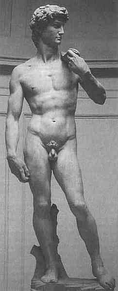 Иллюстрация к книге — Нагота в искусстве: Исследование идеальной формы [i_044.jpg]