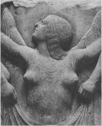 Иллюстрация к книге — Нагота в искусстве: Исследование идеальной формы [i_061.jpg]