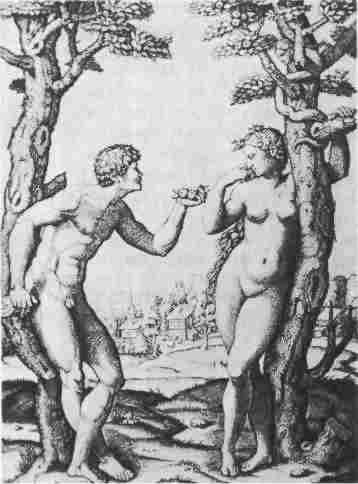 Иллюстрация к книге — Нагота в искусстве: Исследование идеальной формы [i_084.jpg]