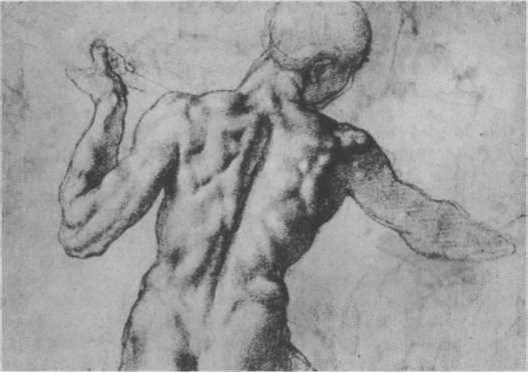 Иллюстрация к книге — Нагота в искусстве: Исследование идеальной формы [i_153.jpg]