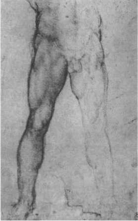 Иллюстрация к книге — Нагота в искусстве: Исследование идеальной формы [i_154.jpg]