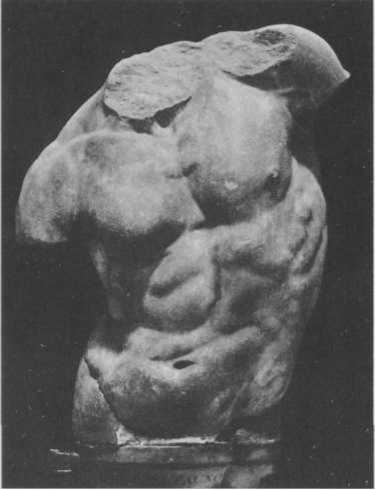 Иллюстрация к книге — Нагота в искусстве: Исследование идеальной формы [i_163.jpg]