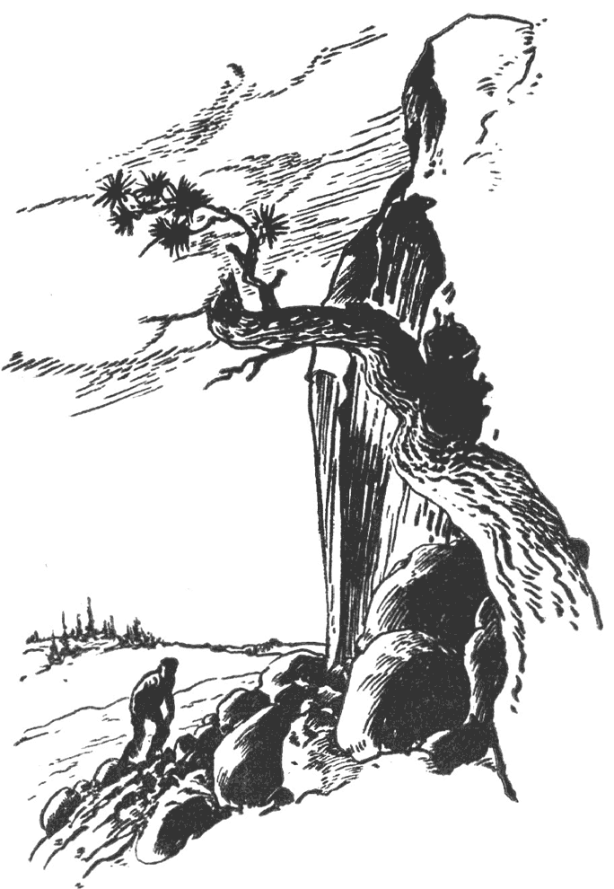 Иллюстрация к книге — Золотой век. Сборник классической фантастики [i_003.jpg]