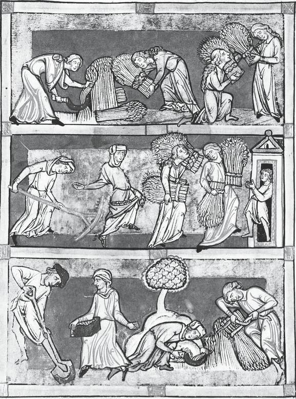 Иллюстрация к книге — Средневековье в юбке [i_006.jpg]