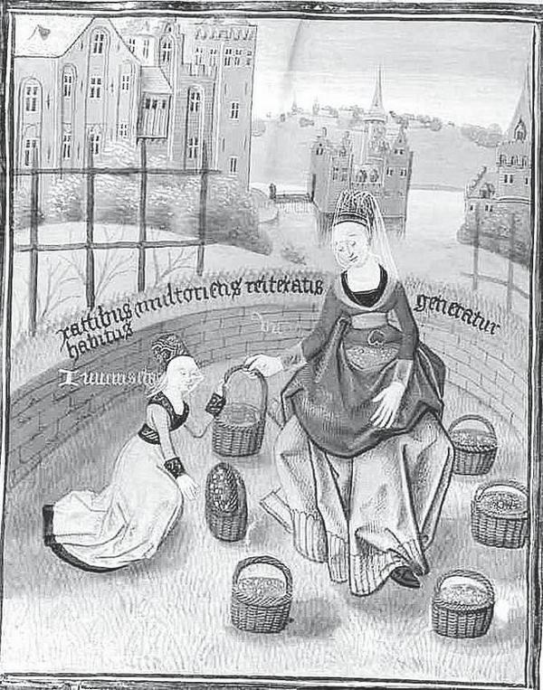 Иллюстрация к книге — Средневековье в юбке [i_065.jpg]