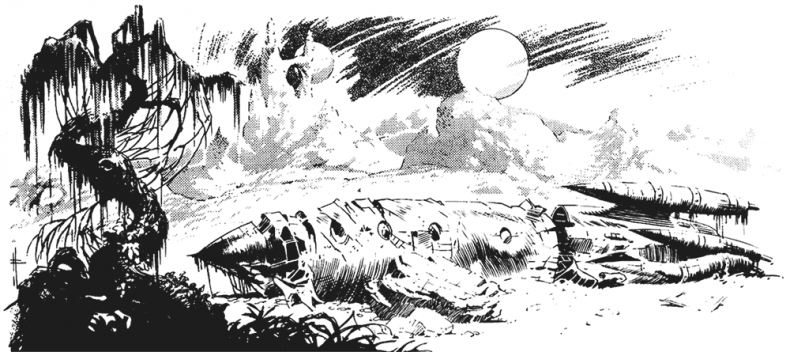 Иллюстрация к книге — Волшебник Марса [i_001.jpg]