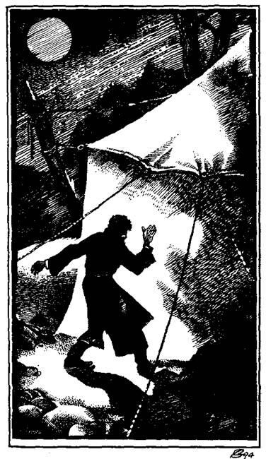 Иллюстрация к книге — Радамехский карлик [i_005.jpg]