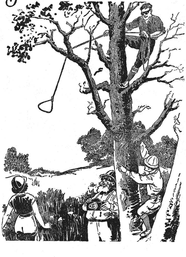 Иллюстрация к книге — Магнитная буря [i_006.jpg]