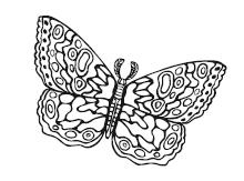 Иллюстрация к книге — Гоблин. Останься со мной [i_005.jpg]