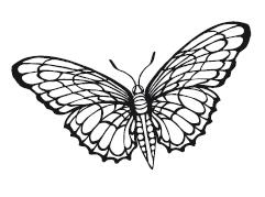 Иллюстрация к книге — Гоблин. Останься со мной [i_009.jpg]