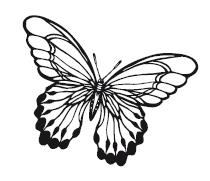 Иллюстрация к книге — Гоблин. Останься со мной [i_010.jpg]