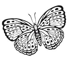 Иллюстрация к книге — Гоблин. Останься со мной [i_016.jpg]