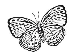 Иллюстрация к книге — Гоблин. Останься со мной [i_021.jpg]