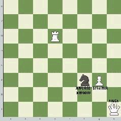 Иллюстрация к книге — Золото твоих глаз, небо её кудрей [pic_9.jpg]