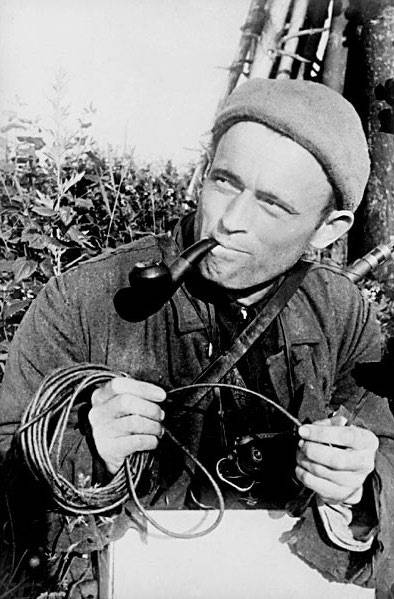 Иллюстрация к книге — Фронт за линией фронта. Партизанская война 1939–1945 гг. [i_033.jpg]