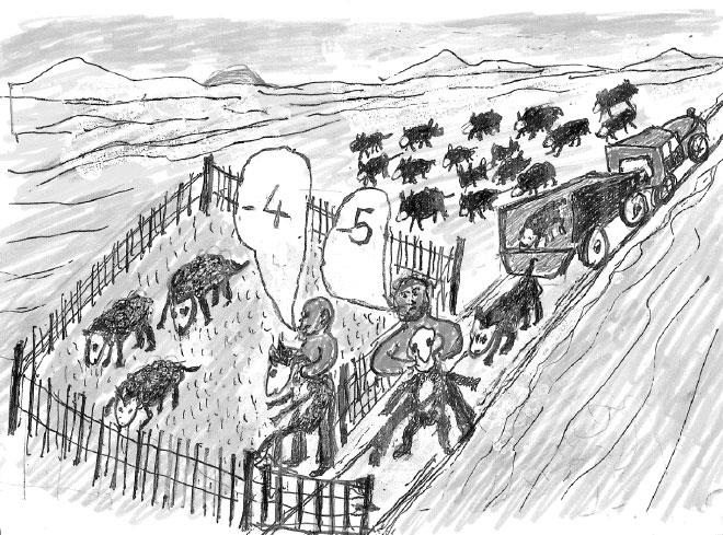 Иллюстрация к книге — Наука о сне. Кто познает тайну сна – познает тайну мозга! [i_001.jpg]