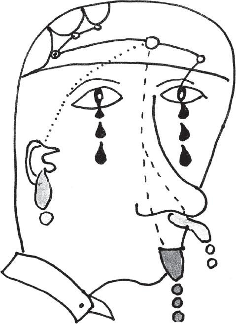 Иллюстрация к книге — Наука о сне. Кто познает тайну сна – познает тайну мозга! [i_008.jpg]