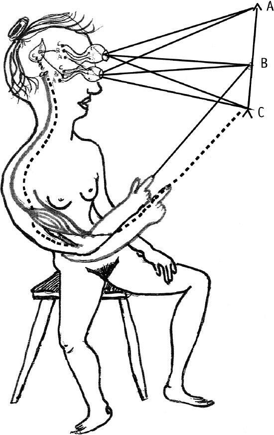 Иллюстрация к книге — Наука о сне. Кто познает тайну сна – познает тайну мозга! [i_009.jpg]