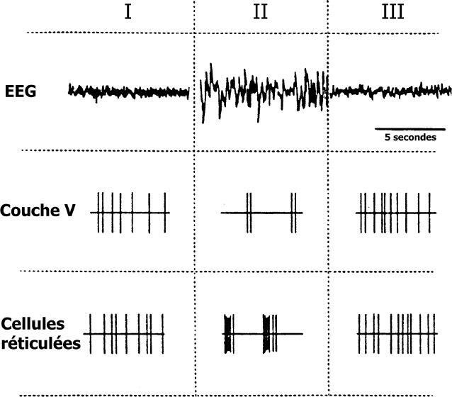 Иллюстрация к книге — Наука о сне. Кто познает тайну сна – познает тайну мозга! [i_011.jpg]