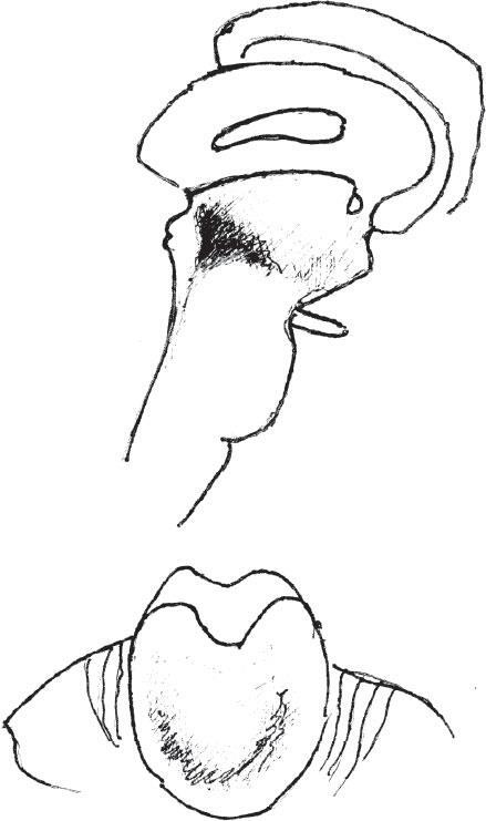 Иллюстрация к книге — Наука о сне. Кто познает тайну сна – познает тайну мозга! [i_013.jpg]