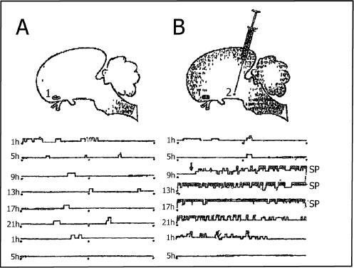 Иллюстрация к книге — Наука о сне. Кто познает тайну сна – познает тайну мозга! [i_018.jpg]
