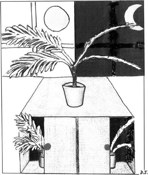 Иллюстрация к книге — Наука о сне. Кто познает тайну сна – познает тайну мозга! [i_026.jpg]