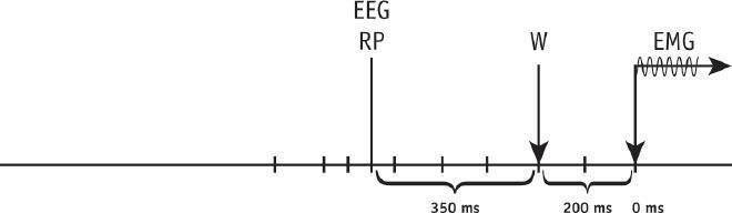 Иллюстрация к книге — Наука о сне. Кто познает тайну сна – познает тайну мозга! [i_037.jpg]