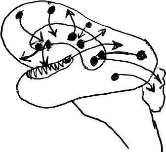 Иллюстрация к книге — Наука о сне. Кто познает тайну сна – познает тайну мозга! [i_042.jpg]