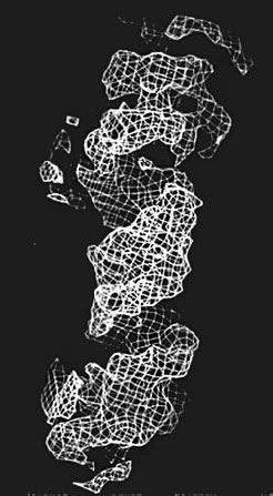 Иллюстрация к книге — Генетический детектив. От исследования рибосомы к Нобелевской премии [i_025.jpg]