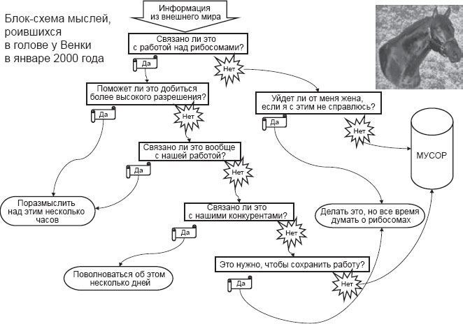 Иллюстрация к книге — Генетический детектив. От исследования рибосомы к Нобелевской премии [i_027.jpg]