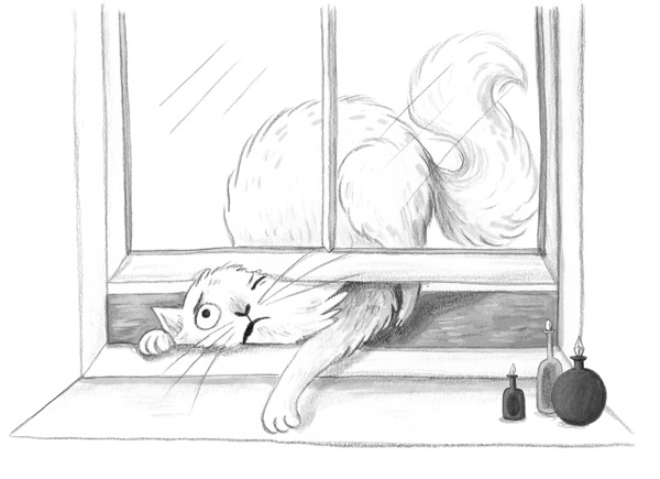 Иллюстрация к книге — Фальшивая певица [i_024.jpg]