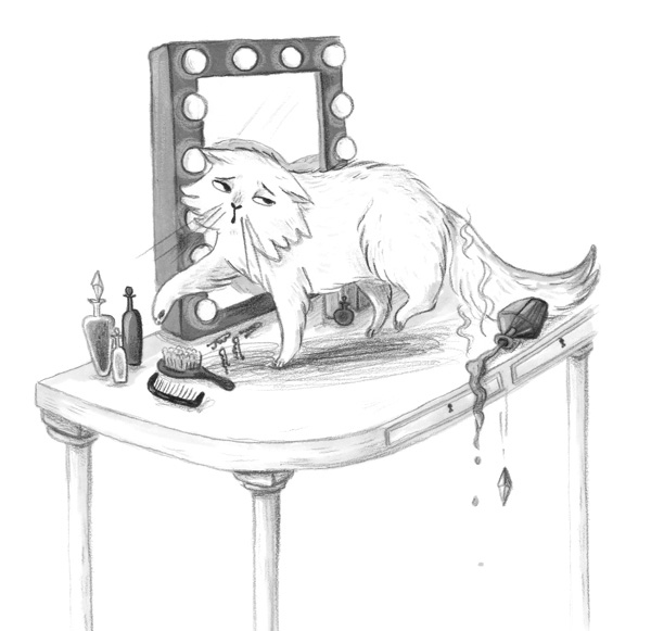 Иллюстрация к книге — Фальшивая певица [i_025.jpg]