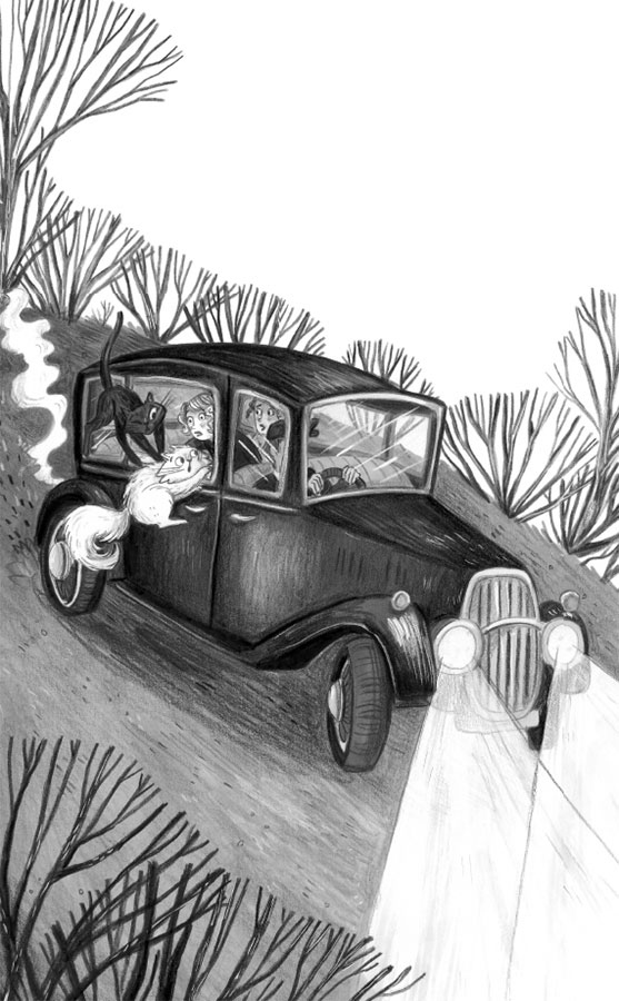 Иллюстрация к книге — Портрет призрака [i_005.jpg]