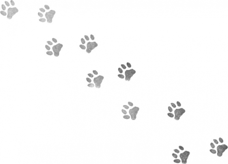 Иллюстрация к книге — Портрет призрака [i_011.jpg]